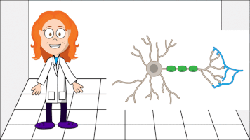 Videos about neurons