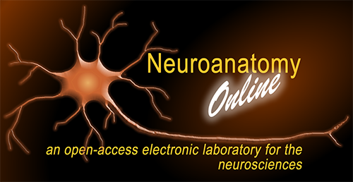Neuroscience online website
