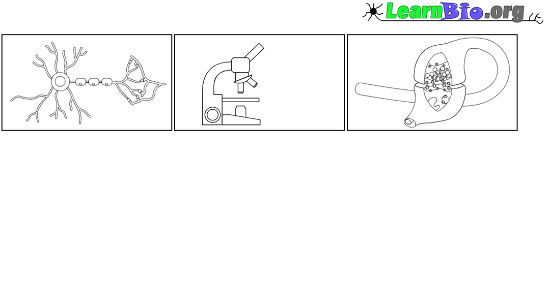 Coloring Book - select an image to color!